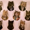 Dr Who Cats