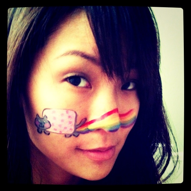 Nyan Cat Meme Face Paint