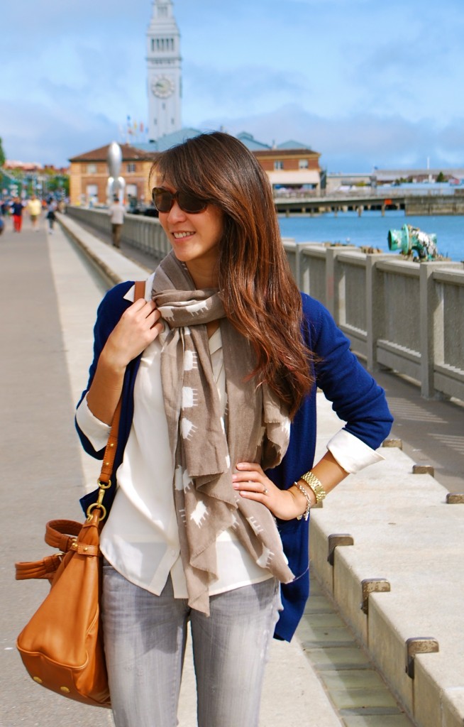 Silk Collared Shirt with Cardigan and Sophia Costas Scarf