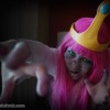 Zombie Princess Bubblegum Cosplay - From Bad to Worse