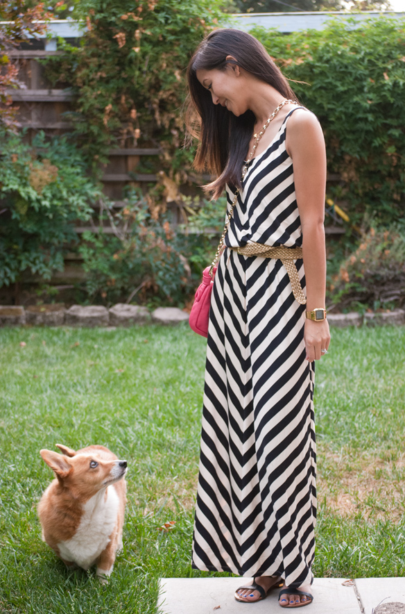 Chevron maxi dress and corgi