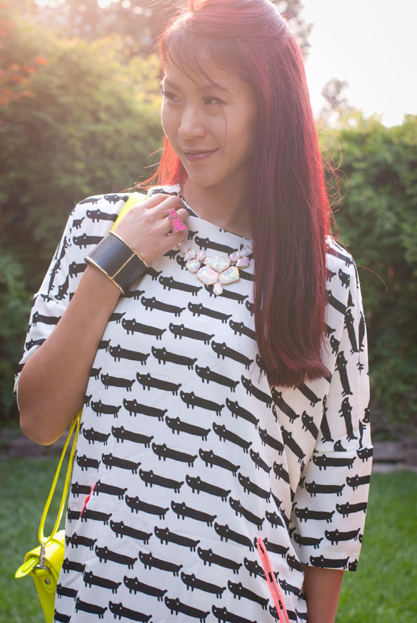 Cat Print Dress and Leggings