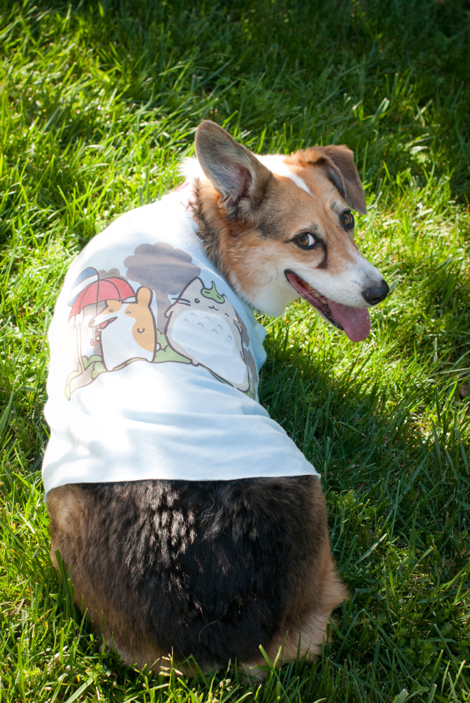 Tee Fury Pup Culture Corgi Tee