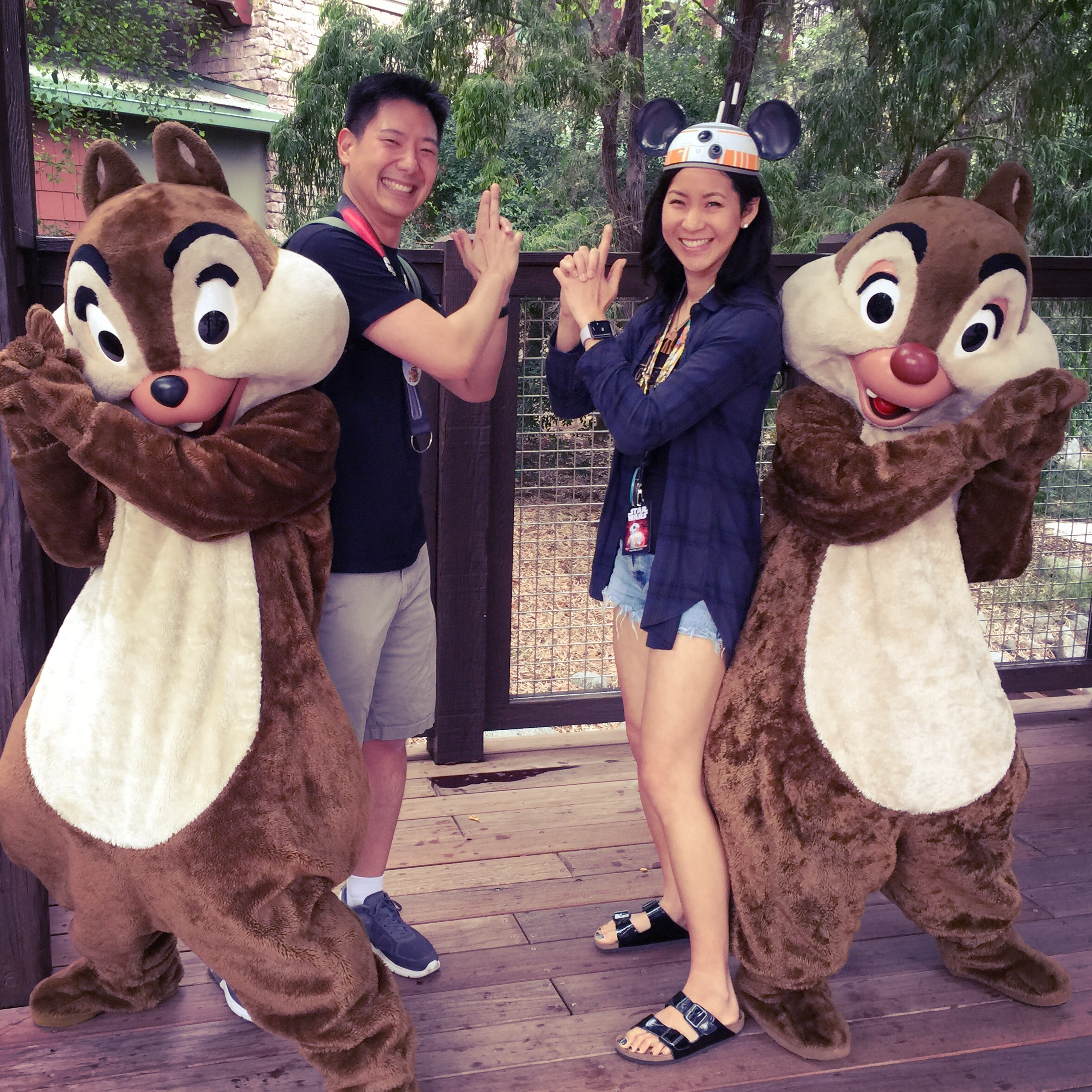 Disneyland Chip and Dale